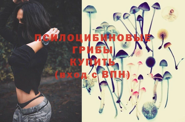кристаллы Абаза