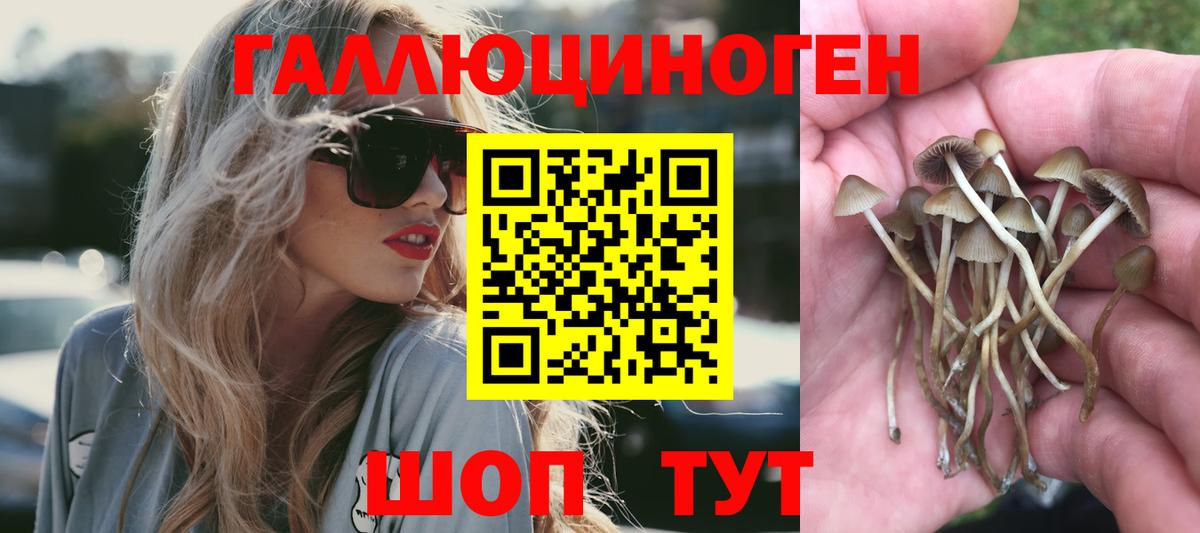 Галлюциногенные грибы мухоморы Холмск